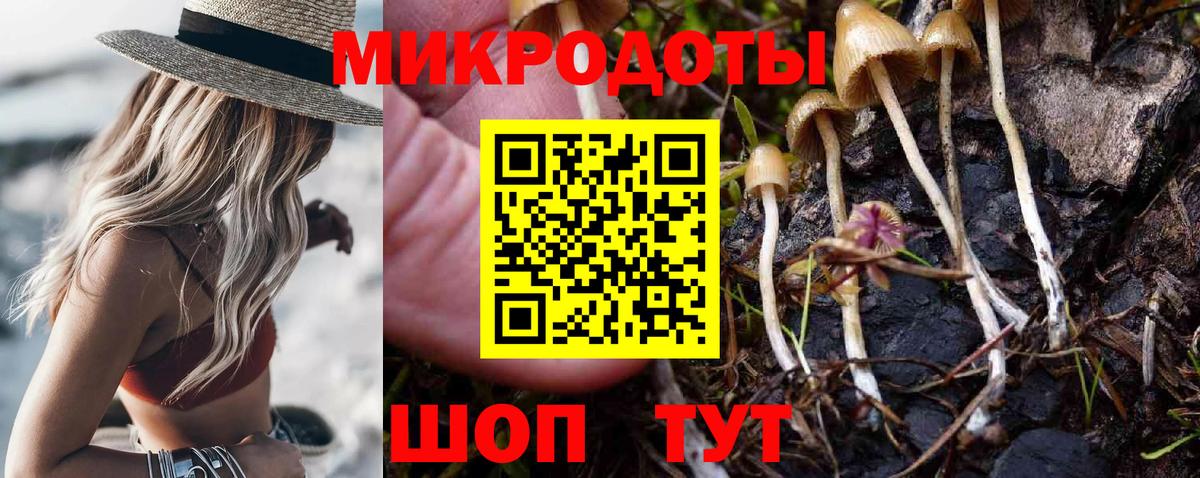 Псилоцибиновые грибы мицелий  Вход с VPN  Мурино  Псилоцибиновые грибы Psilocybe 